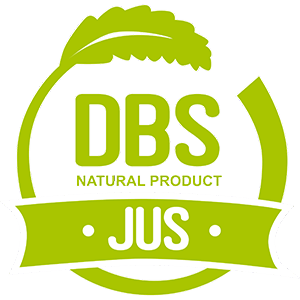 Logo DBS Jus Jasa Landingpage Logo DBS Jus Jasa Landingpage