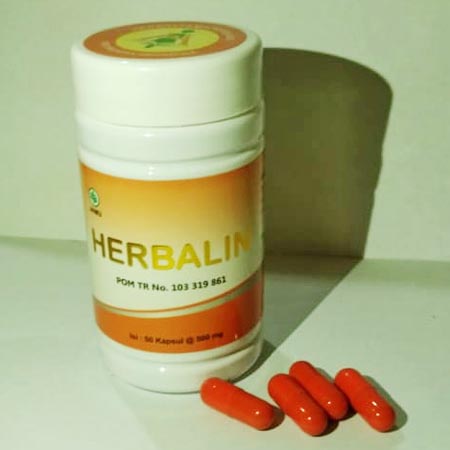 Produk Herbalin Jasa Landingpage Produk Herbalin Jasa Landingpage