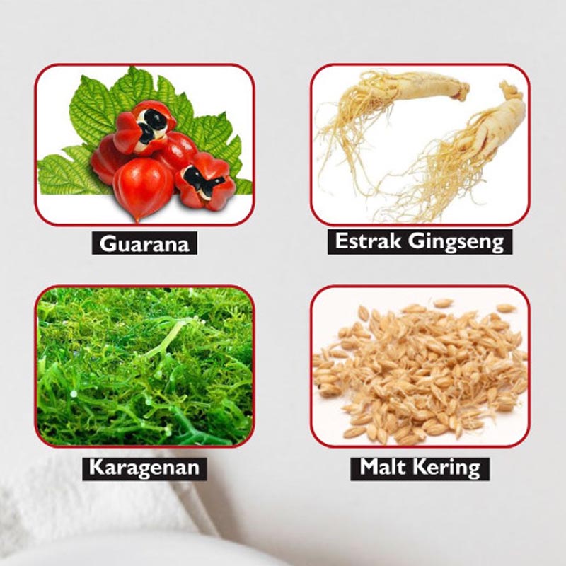Kandungan Kopi SLB Kandungan Kopi SLB