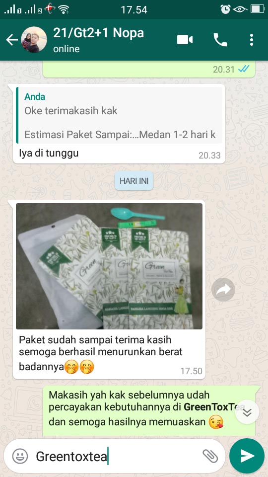 Paket GreenToxTea Sampai Jasa Landingpage 1