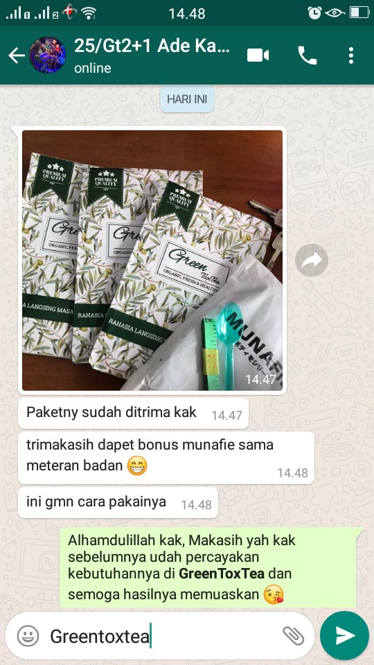 Paket GreenToxTea Sampai Jasa Landingpage 2