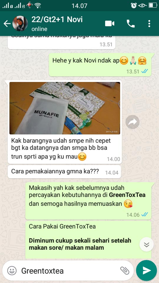 Paket GreenToxTea Sampai Jasa Landingpage 3
