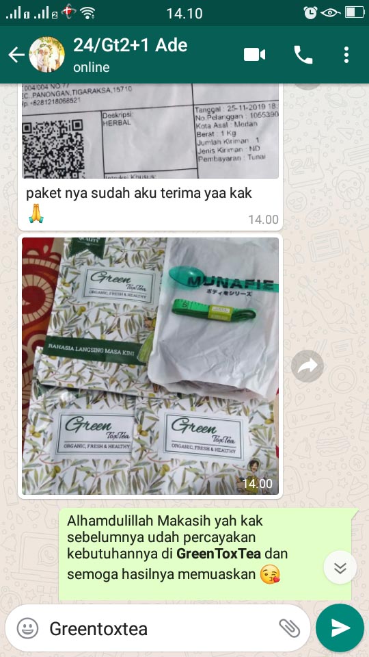 Paket GreenToxTea Sampai Jasa Landingpage 4