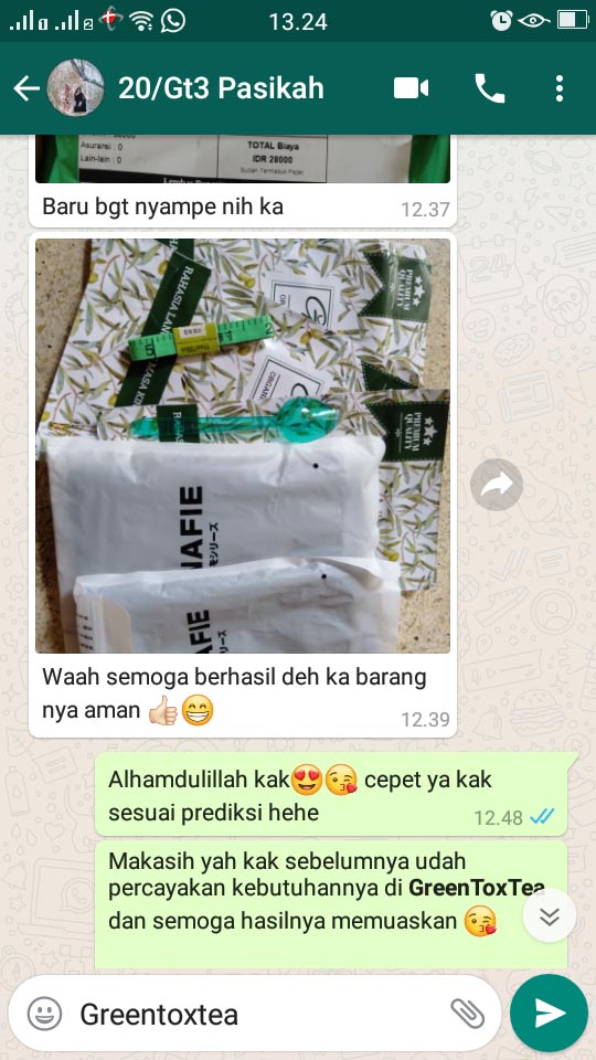 Paket GreenToxTea Sampai Jasa Landingpage 6