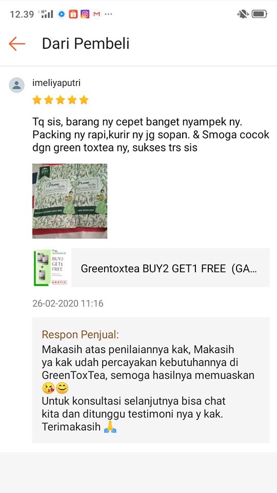 Paket GreenToxTea Sampai Jasa Landingpage 7