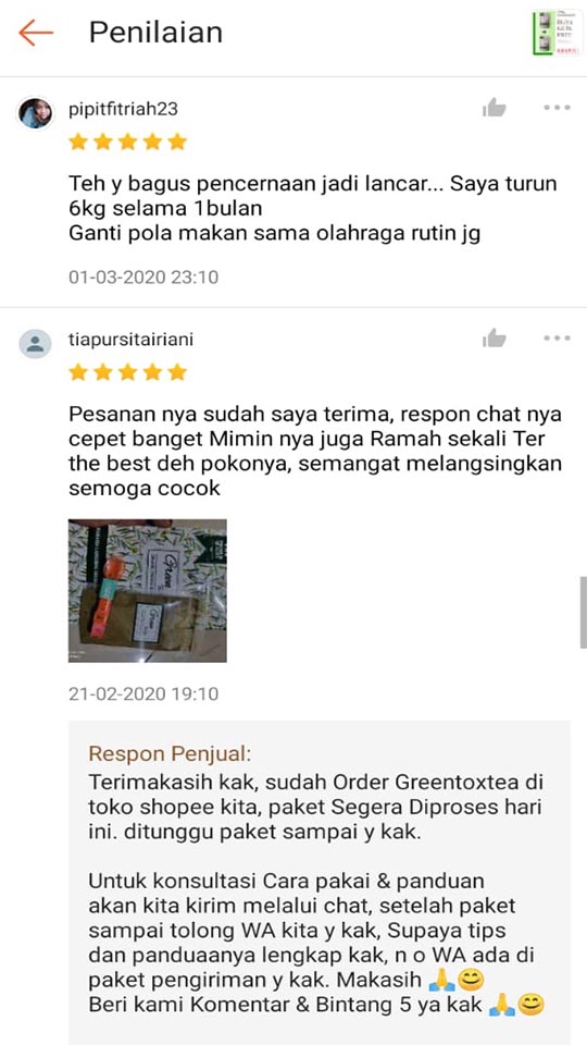 Paket GreenToxTea Sampai Jasa Landingpage 8