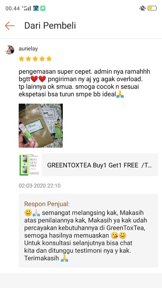Paket GreenToxTea Sampai Jasa Landingpage 9