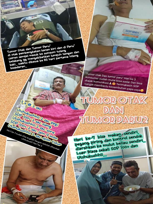 Testimoni SOP100 Jasa Landingpage 1 Testimoni SOP100 Jasa Landingpage 1