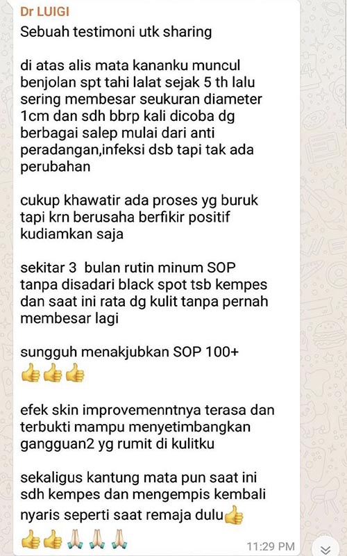 Testimoni-Utsukushhii SOP100-Jasa-Landingpage-10 Testimoni-Utsukushhii SOP100-Jasa-Landingpage-10
