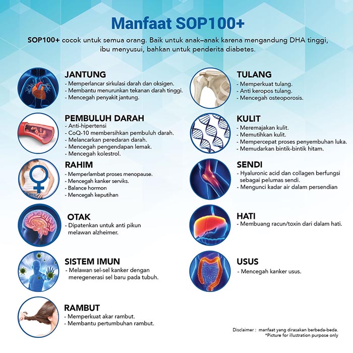 Manfaat SOP100 Baru Jasa Landingpage Manfaat SOP100 Baru Jasa Landingpage