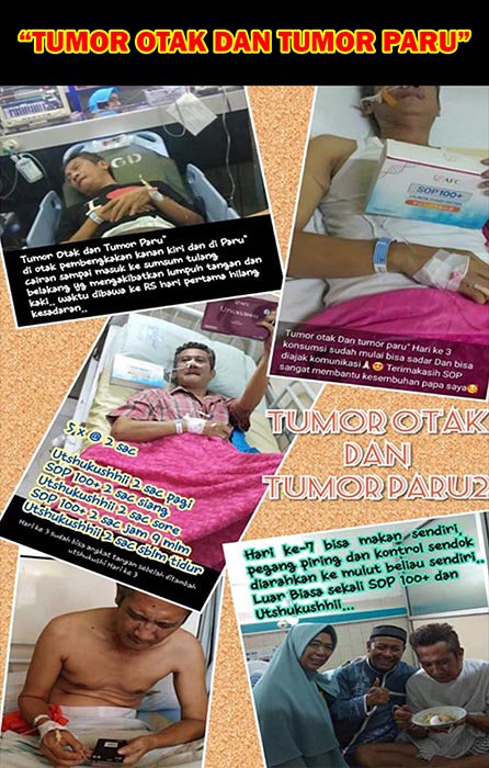 Testimoni SOP 100 Jasa Landing Page 6 Testimoni SOP 100 Jasa Landing Page 6